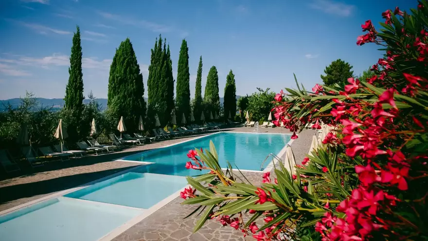 Piscine Fattoria Degli Usignoli