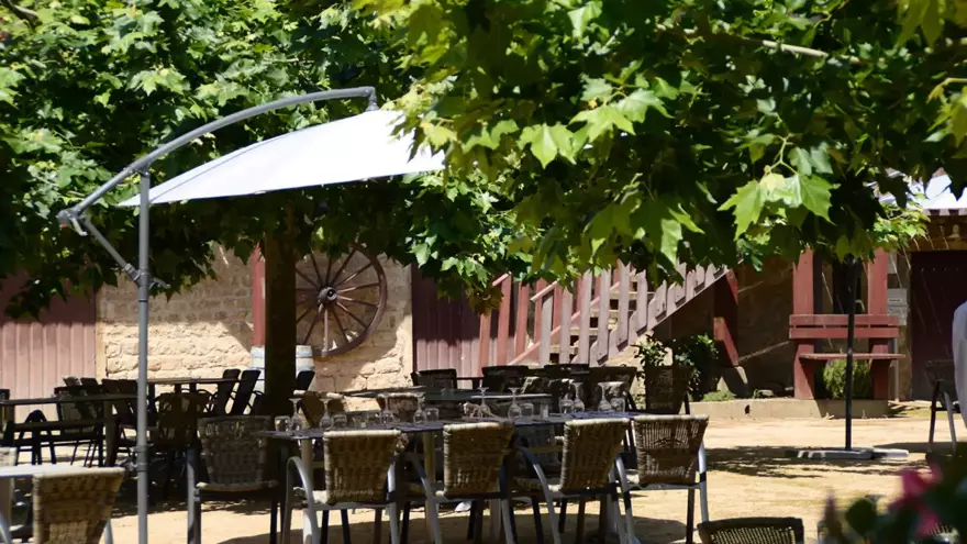 A l'ombre des arbres