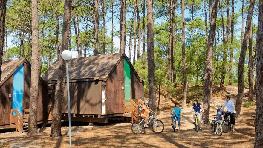 vacances sous les pins en gironde