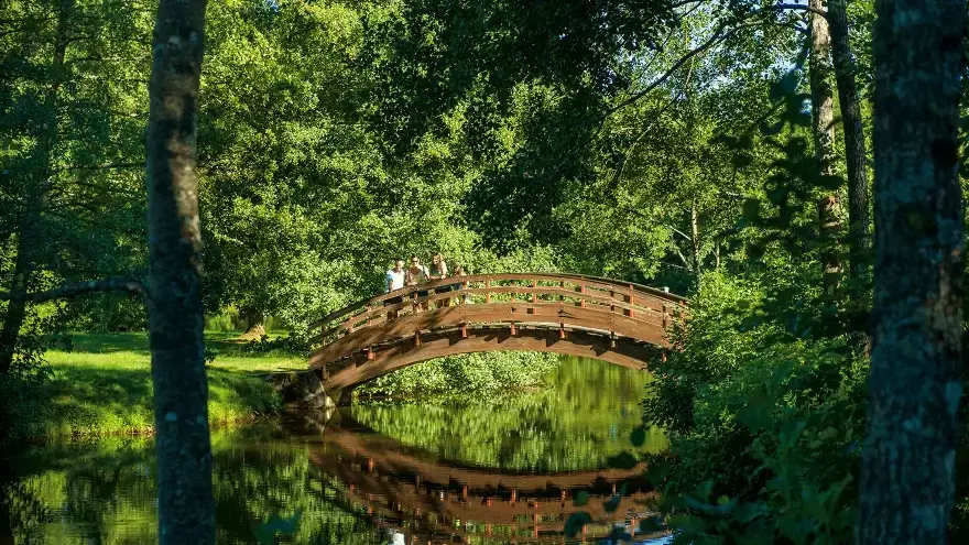 Parc en Auvergne VTF