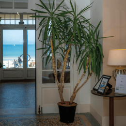 Accueil de l'hôtel VTF Saint Cast le Guildo