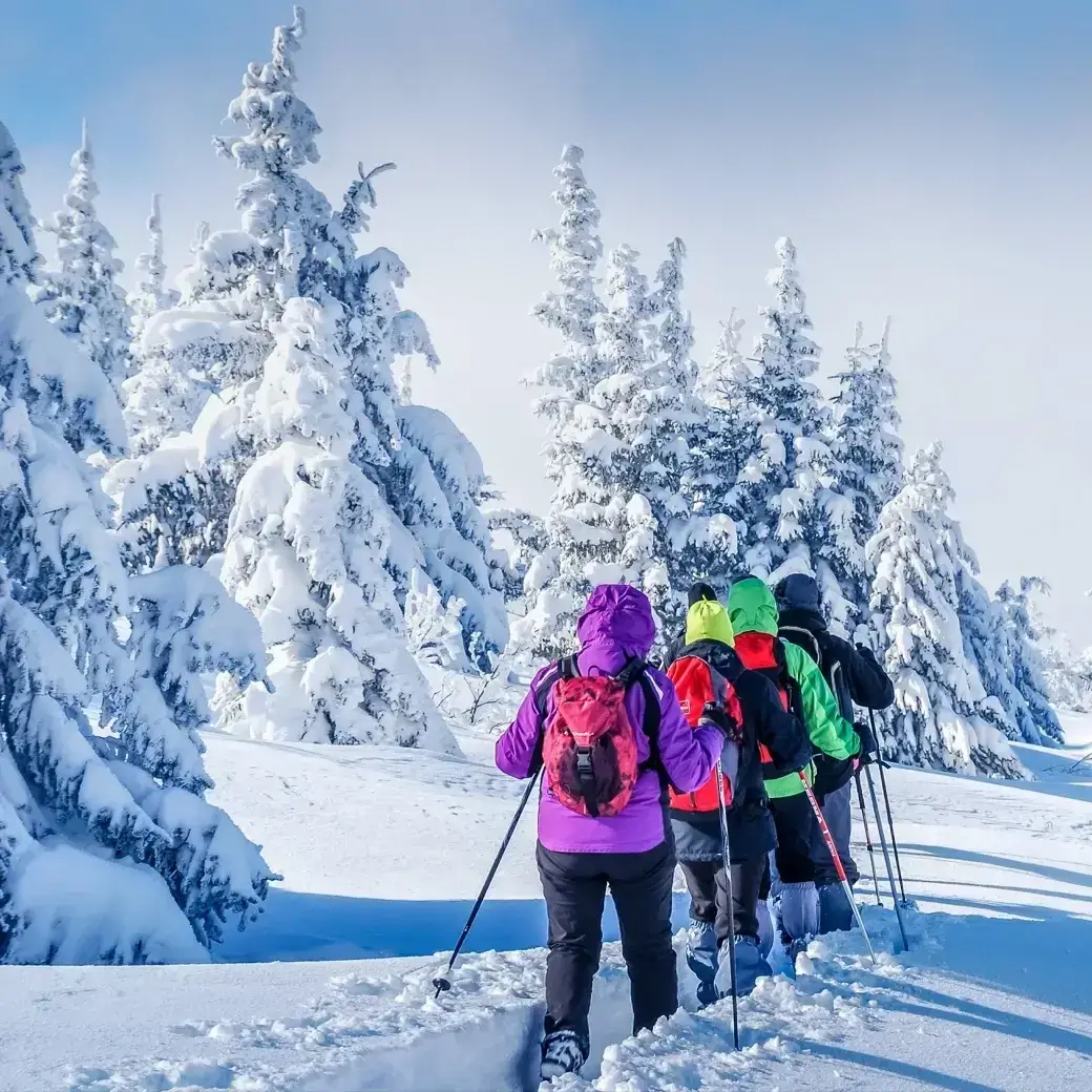 Randonnée en raquettes à neige